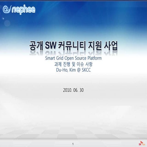 2010 nephee 01_smart_grid과제진행및이슈사항_20100630_kimduho