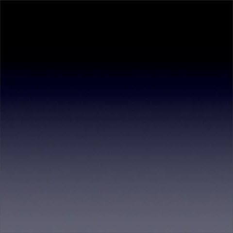 2010 Online Journalism Principles