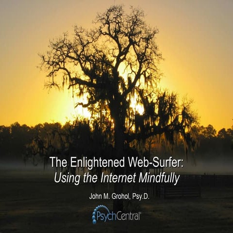 2010 Psychotherapy Networker Symposium - Enlightened Web-Surfer - John Grohol