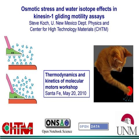 Osmotic stress and water isotope effects in kinesin-1 gliding motility assays
