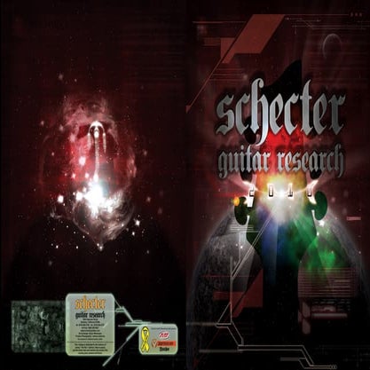 2010 schecter catalogusa