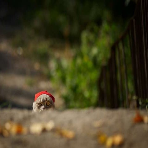 The front page of the web we all curate, debate, & even create