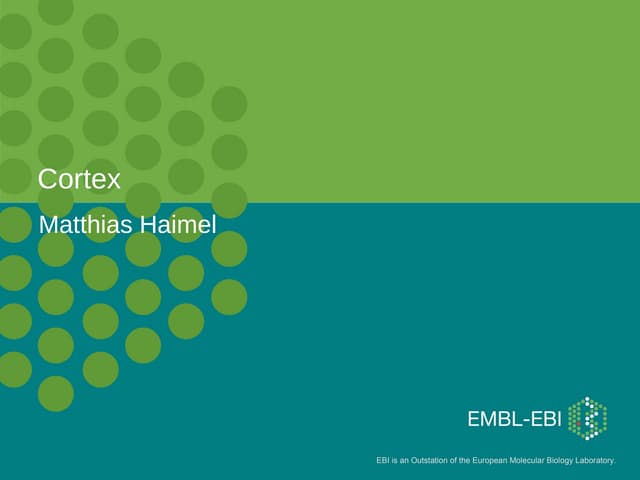 2011-04-26_02-cortex-presentation