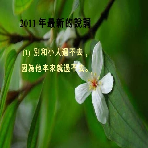 2011年最新的說詞 