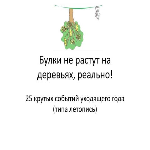 Chronicle Boolkee 2011