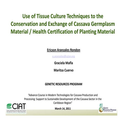 2011. aranzales rondon. use of tissue culture techniques techniques to the co...