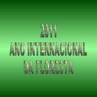 2011 ano internacional das florestas