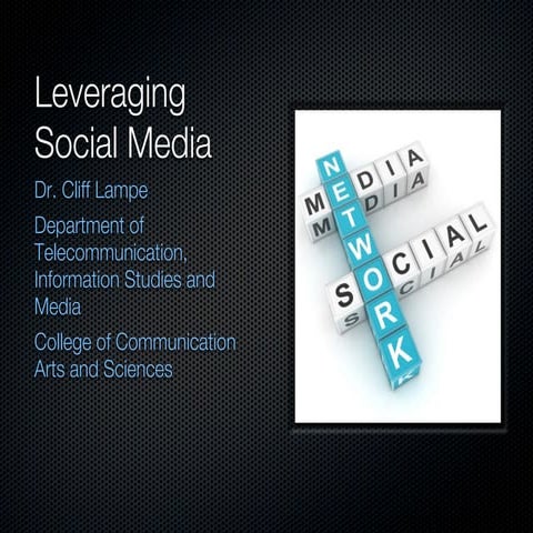 Lampe Social Media 4 Execs slides
