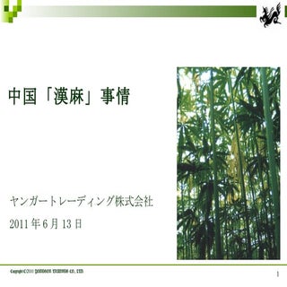 20110613 ifi講演2 中国漢麻2