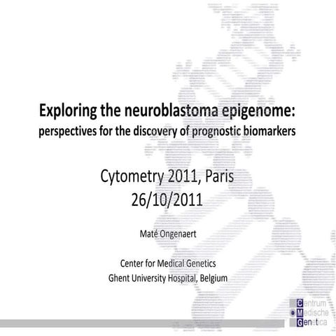 Exploring the neuroblastoma epigenome: perspectives for improved prognosis