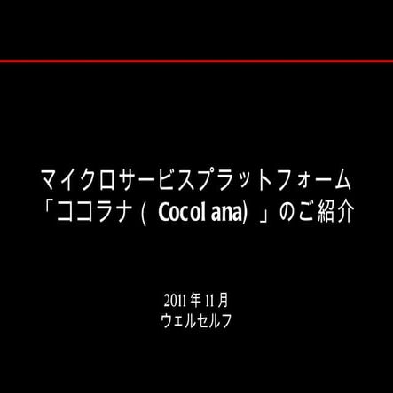 20111117 msp説明資料