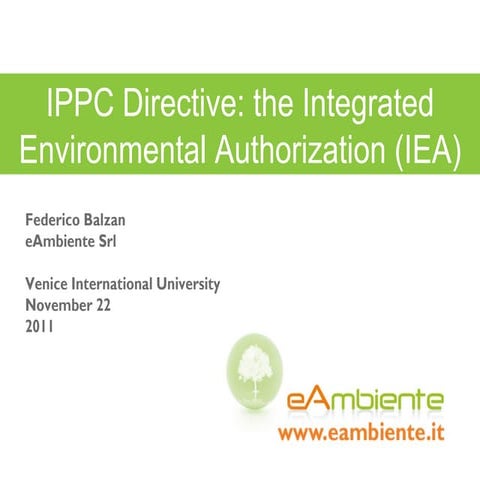 IPPC Directive: the Integrated Environmental Authorization (IEA) 