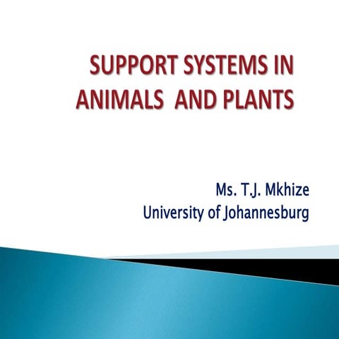  Ms T.J Mkhize support in animal and plant