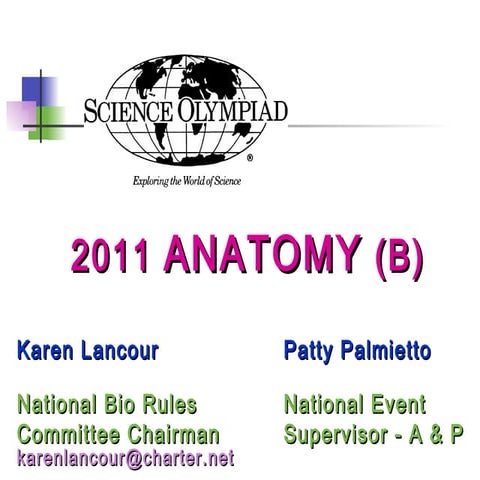 2011 anatomy training powerpoint