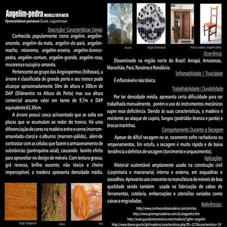 2011 angelim pedra-michellenater