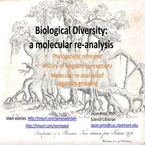 Biological Diversity: a molecular re-analysis