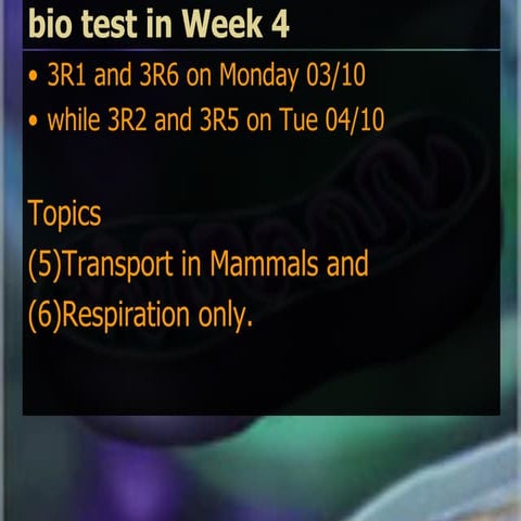 2011 cellular respiration