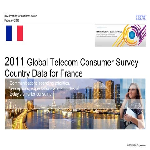 2011 Consumer Survey France