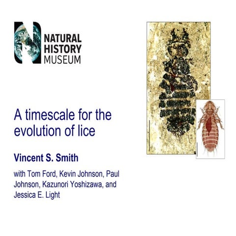 A timescale for the evolution of lice