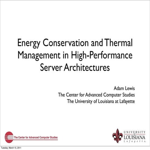 2011 Feb07 Lewis Prospectus