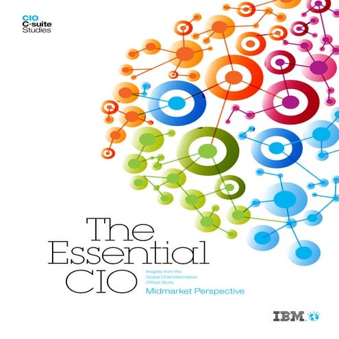 2011 ibm mm cio study