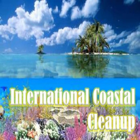 2011 icc presentation