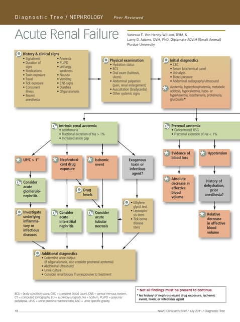 Nursing care plan chronic renal failure | PDF