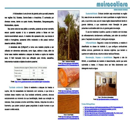 2011 muiracatiara brunamelnic