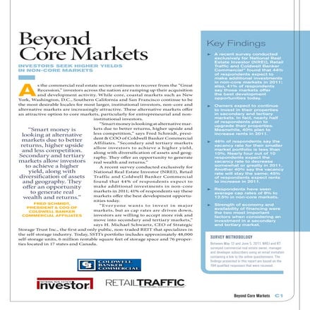 2011 NREI Beyond Core Markets Survey