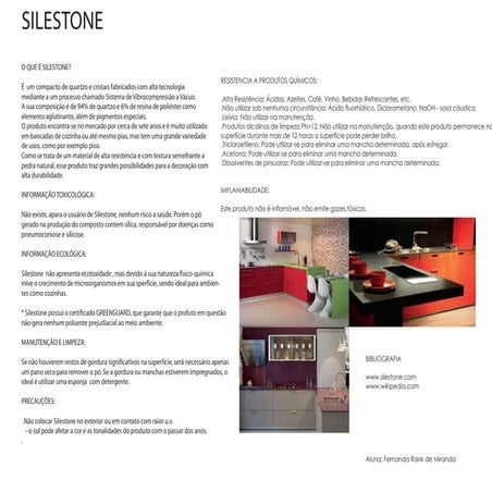 2011 silestone fernandarankdemiranda