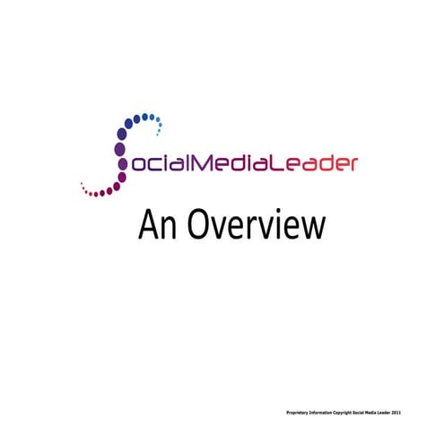 Social Media Leader Overview