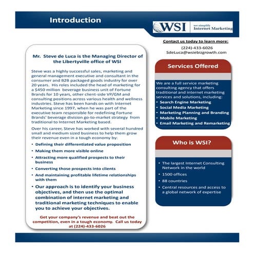 2011 Wsi Capabilities Overview