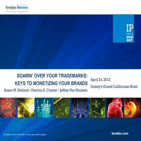 Soarin' Over Your Trademarks - Keys to Monetizing Your Brands