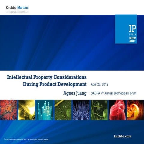 Intellectual Property Considerations During Product Development