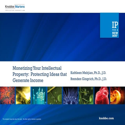 Monetizing Your Intellectual Property: Protecting Ideas that Generate Income