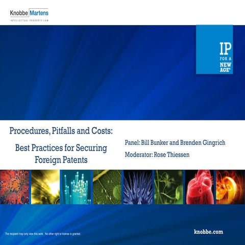 Procedures, Pitfalls and Costs: Best Practices for Securing  Foreign Patents