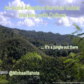 Agile adoption survival guide - wor...