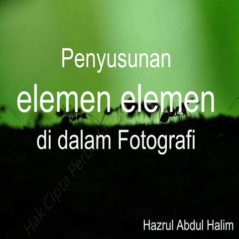 2012 07-24 penyusunan elemen dalam fotografi-97