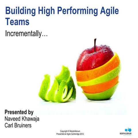 Creating High Performing Teams