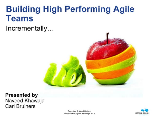 Creating High Performing Leaner Agi...