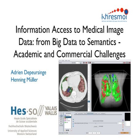 Information Access to Medical Image Data: from Big Data to Semantics - Academ...
