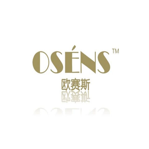 欧赛斯互联网品牌整合营销解决方案2012