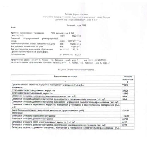 отчетный  год  2012.