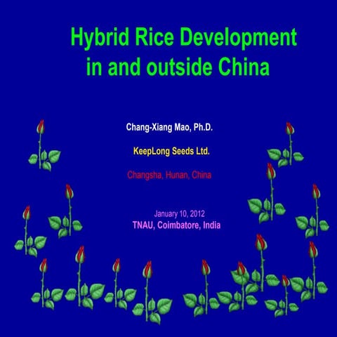 2012. chang xiang mao. hybrid rice development in and outside china