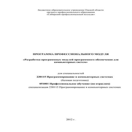 2012 2013  пм спп провидошина