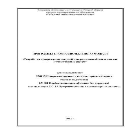 2012 2013  пм спп провидошина