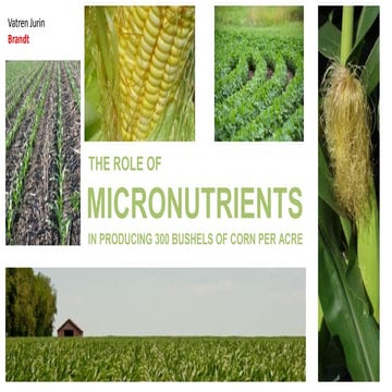 Role of Foliar Nutrition in producing 300 bu of Corn