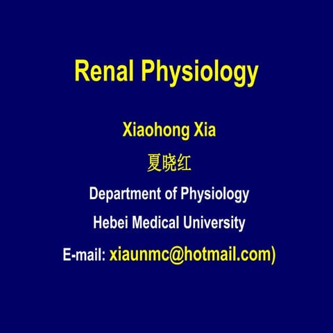 2012 4-16 renal physiology