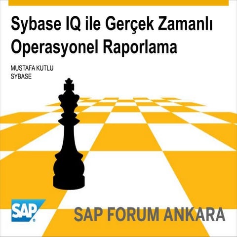 SAP IQ ile Gerçek Zamanlı Raporlama