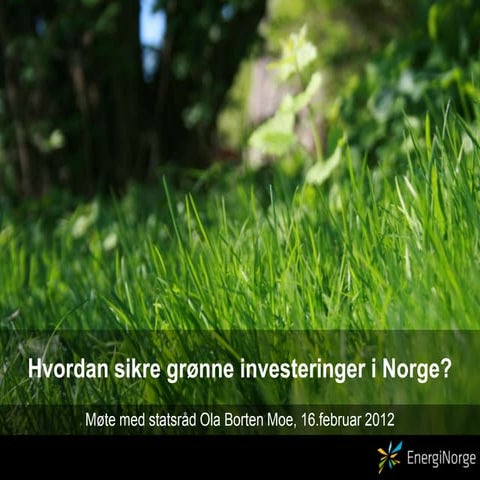 2012 02 16 hvordan sikre grønne investeringer i norge ved oluf ulseth, energi norge